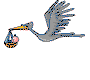 cicogna 6Kb