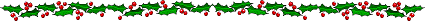 Pungitopo 4Kb